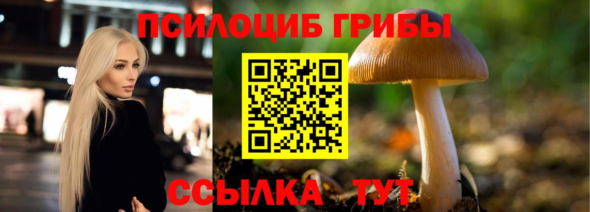 Галлюциногенные грибы MAGIC MUSHROOMS  Псилоцибиновые грибы MAGIC MUSHROOMS  Вход с VPN  Гулькевичи 