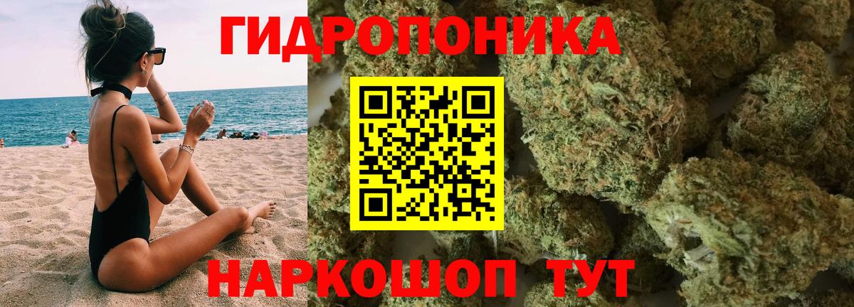 Бошки марихуана семена Гулькевичи